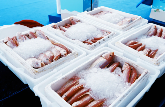 WTO《渔业补贴协定》正式生效 WTO《渔业补贴协定》对经济发展有什么影响