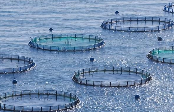 WTO《渔业补贴协定》正式生效 WTO《渔业补贴协定》对经济发展有什么影响