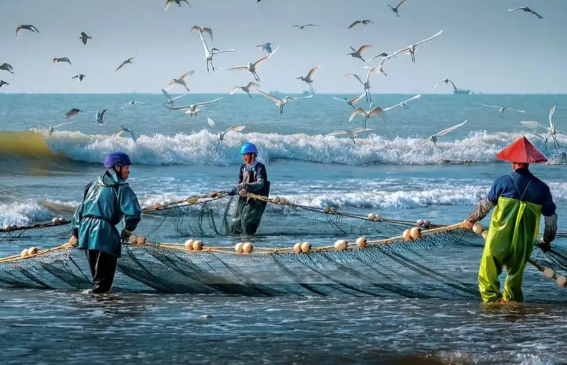 WTO《渔业补贴协定》正式生效 WTO《渔业补贴协定》对经济发展有什么影响