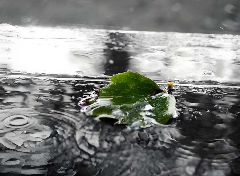 大风＋暴雨双预警齐发！大风＋暴雨防御指南请收好