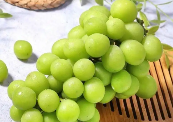 阳光玫瑰因何跌成“地板价” 从300元跌至9.9元 阳光玫瑰因何跌成“地板价” 从300元跌至9.9元