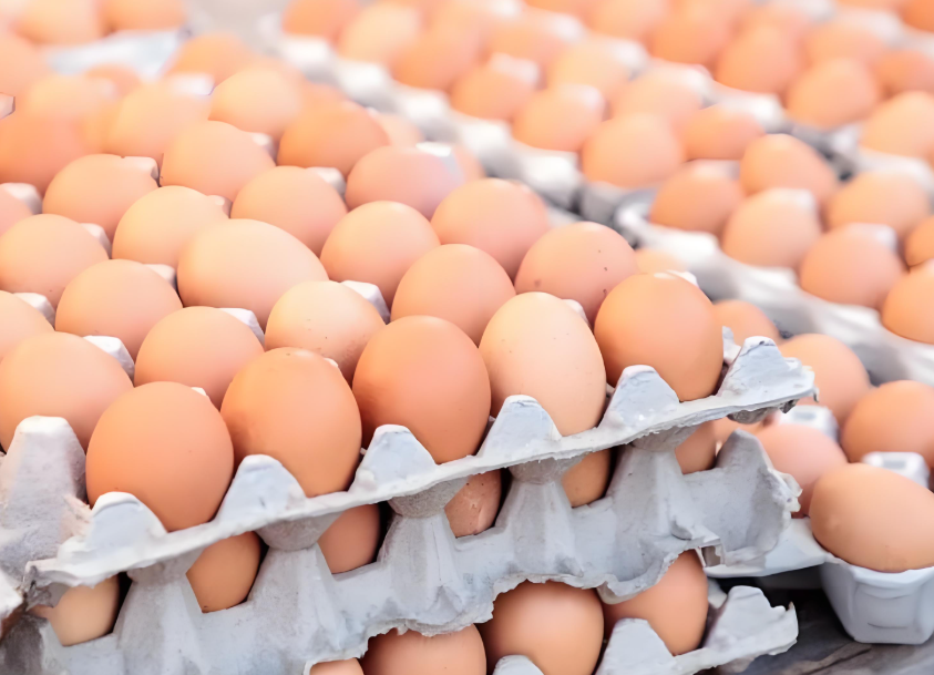 每天吃一个鸡蛋错了？医生研究发现上了年纪，鸡蛋应该这样吃！