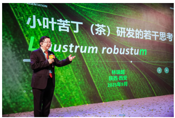 林瑞超院士西安发声：发酵+萃取双技术赋能 贵州余庆小叶苦丁开启血脂血糖应用新篇
