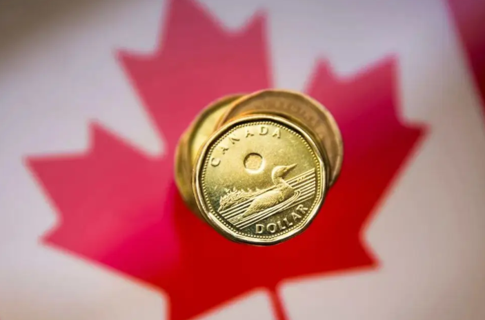 加拿大7月零售额八成行业下滑，经济复苏亮黄灯