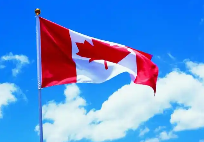 加拿大7月零售额八成行业下滑，经济复苏亮黄灯