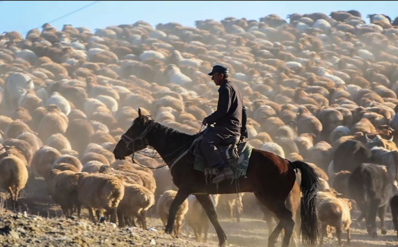 2024-25财年阿富汗经济增长1.9% 阿富汗农牧业人口占全国总人口的80%