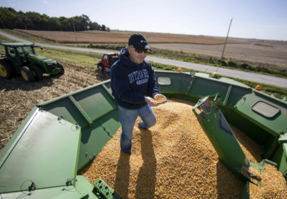 中国订单至今为零美国豆农感受痛苦 美国农民呼吁美国政府结束与中国的贸易战