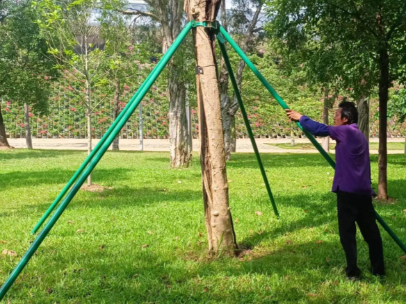 桦加沙二次登陆广西北海 桦加沙已减弱为热带风暴级 桦加沙二次登陆广西北海 桦加沙已减弱为热带风暴级