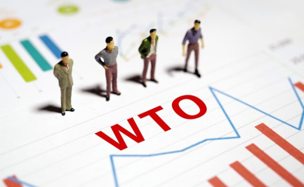 WTO的特殊待遇我们为啥不要了(WTO的特殊待遇是什么) WTO的特殊待遇我们为啥不要了(WTO的特殊待遇是什么)