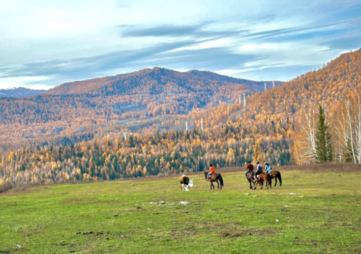 当新疆金秋美景遇到国庆假期,向您推荐新疆10条秋游线路 当新疆金秋美景遇到国庆假期,向您推荐新疆10条秋游线路