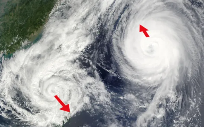 桦加沙的双眼皮有什么特殊之处(桦加沙的双眼皮是什么)