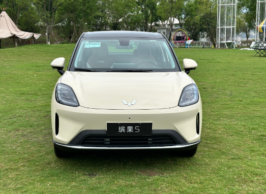 五菱缤果S正式上市！五菱缤果S预售6.88万元起纯电小型车