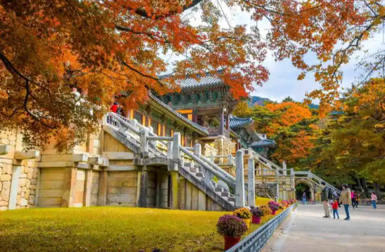 韩国面向中国免签政策今起试行 中国团体游客可免签入境韩国并停留15天