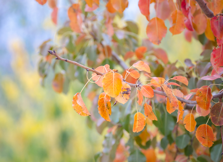 台风博罗依靠近华南进入影响时段(台风博罗依影响南方多地或现高温)