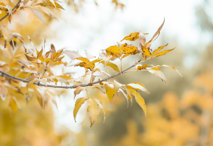 台风博罗依靠近华南进入影响时段(台风博罗依影响南方多地或现高温)