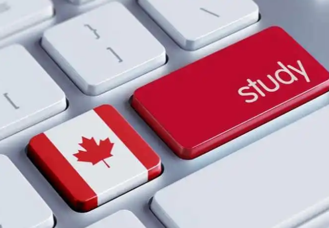 加拿大关税冲击不断升级(加拿大中小企业还能撑多久) 加拿大关税冲击不断升级(加拿大中小企业还能撑多久)