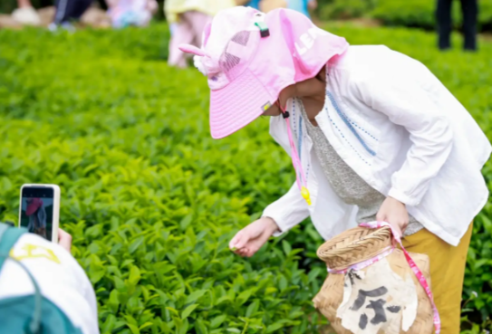 国庆8天国内出游8.88亿人次 2025国庆期间全国举办超2.9万场文旅活动