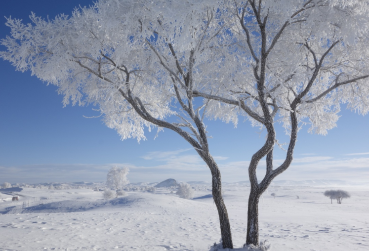 北方气温冷出11月水平(北方的湿冷天气还有几天)