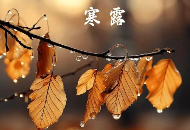 寒露后昼夜温差大!寒露后“洋葱式穿衣法”教你轻松应对 寒露后昼夜温差大!寒露后“洋葱式穿衣法”教你轻松应对