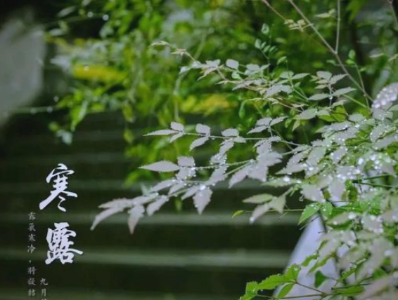 寒露后昼夜温差大!寒露后“洋葱式穿衣法”教你轻松应对 寒露后昼夜温差大!寒露后“洋葱式穿衣法”教你轻松应对