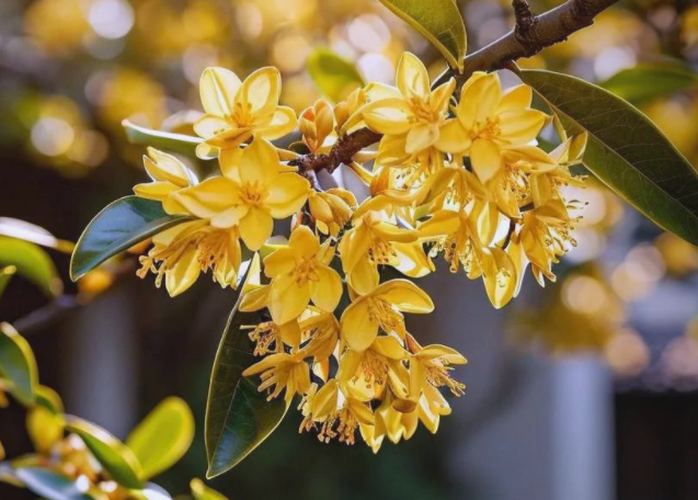 上海一直热植物都内分泌失调了(植物也会内分泌失调吗)