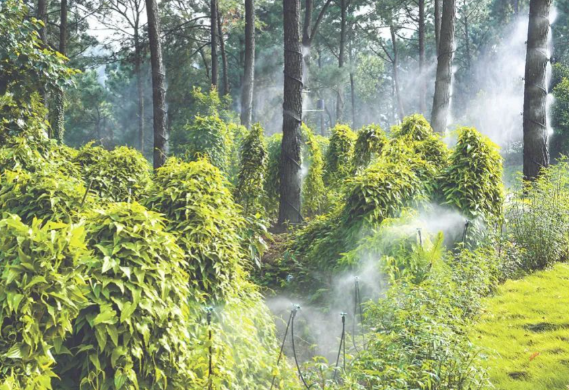 中国林草产业年产值突破10万亿元 我国集体林业每年带动4000多万农民就业增收