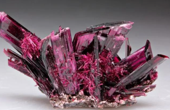 刚果(金)钴出口禁令将于10月16日解除 2024年刚果(金)钴产量占全球的75.86% 刚果(金)钴出口禁令将于10月16日解除 2024年刚果(金)钴产量占全球的75.86%