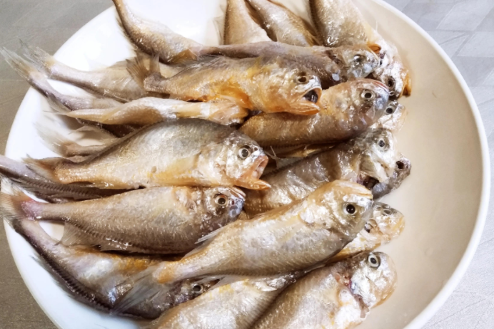 大妈买海鱼红烧后半夜发绿光(荧光海鱼红烧了还能吃吗) 大妈买海鱼红烧后半夜发绿光(荧光海鱼红烧了还能吃吗)
