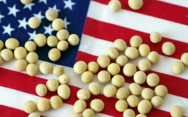 美国或失去中国1600万吨大豆订单 中国自5月起已停止采购美国大豆