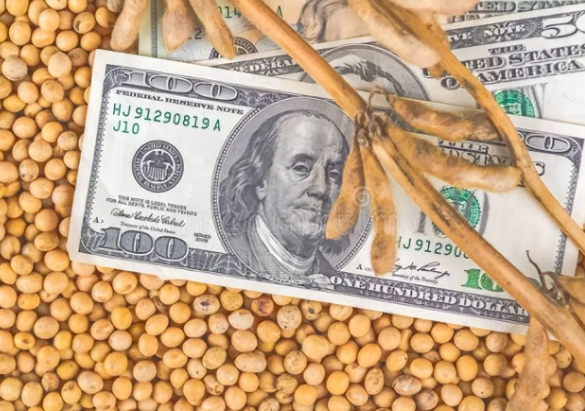 美国或失去中国1600万吨大豆订单 中国自5月起已停止采购美国大豆