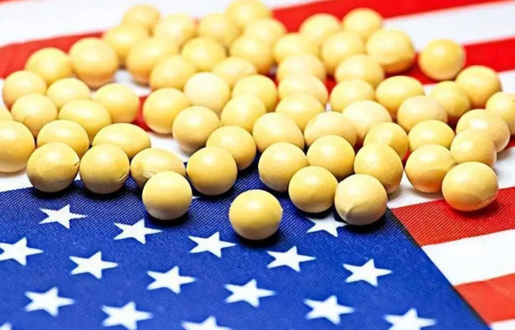 美国或失去中国1600万吨大豆订单 中国自5月起已停止采购美国大豆