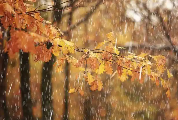 南方降温北方“跑步入冬” 北方入冬进程加快江南华南正式入秋