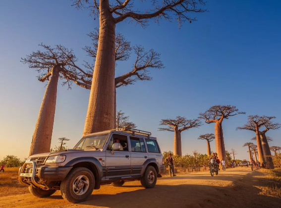 马达加斯加军方宣布接管国家政权 马达加斯加军方将重新组织大选 马达加斯加军方宣布接管国家政权 马达加斯加军方将重新组织大选