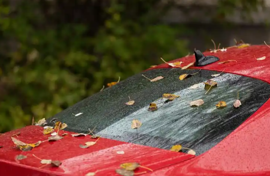 南方降温北方“跑步入冬” 北方入冬进程加快江南华南正式入秋