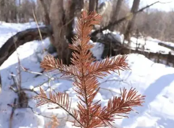 北方多地迎初冬般湿冷该怎么添衣?(北方初冬科学添衣指南请收好2025) 北方多地迎初冬般湿冷该怎么添衣?(北方初冬科学添衣指南请收好2025)