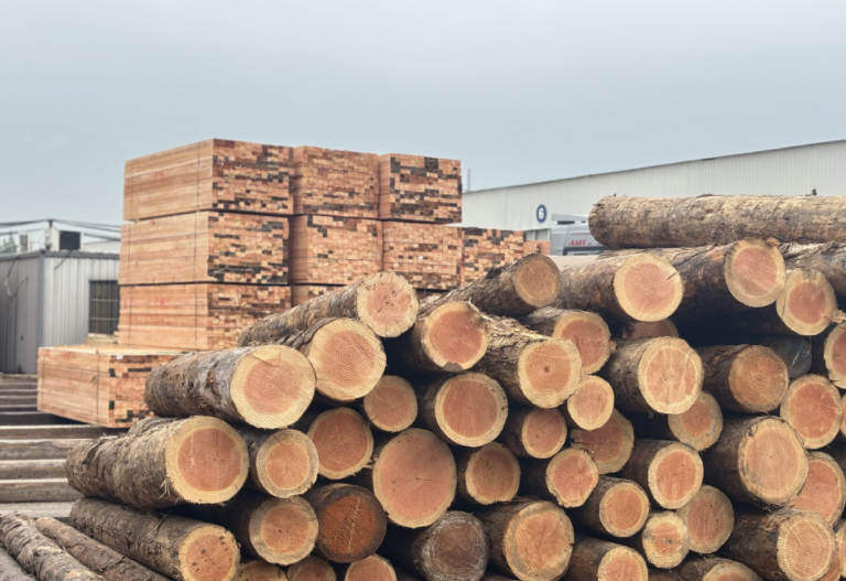 2025年美木材关税正式生效(美国木材关税对中国进口家具有啥影响) 2025年美木材关税正式生效(美国木材关税对中国进口家具有啥影响)