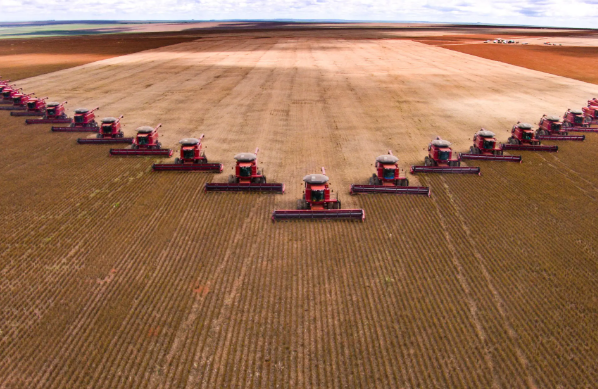 美国大豆卖不出去农场破产创新高 美国大豆全球出口量明显下降 美国大豆卖不出去农场破产创新高 美国大豆全球出口量明显下降