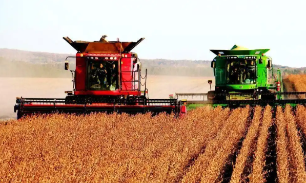 美国大豆卖不出去农场破产创新高 美国大豆全球出口量明显下降 美国大豆卖不出去农场破产创新高 美国大豆全球出口量明显下降