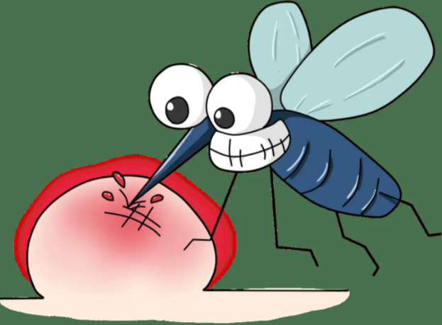 关注10月高发传染病有哪些(2025年10月健康防护提示)