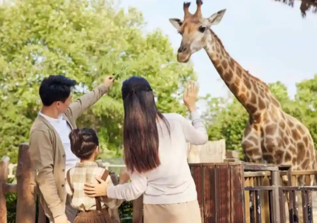 新西兰10月不降息恐加速贬值(新西兰不降息经济会崩溃吗) 新西兰10月不降息恐加速贬值(新西兰不降息经济会崩溃吗)