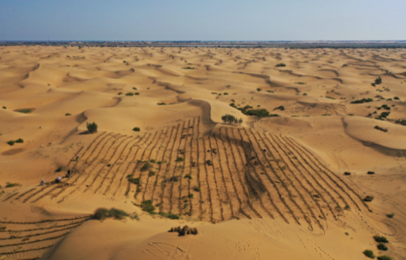 世界达到第一个气候临界点 全球变暖突破1.5℃的临界阈值