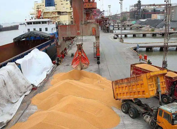 816吨大豆粮仓轰然倒塌！美国一储藏约816吨大豆粮仓倒塌