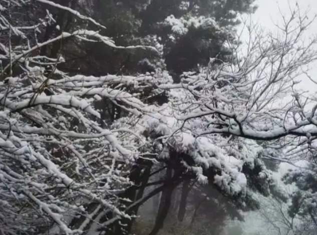 河南多地下雪了！河南多地迎来入秋后第一场雪