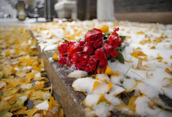 这是略过秋天直接入冬了吗(为啥今年入秋怎么跟入冬似的) 这是略过秋天直接入冬了吗(为啥今年入秋怎么跟入冬似的)