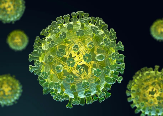 新流感毒株来袭最危险的是这几类人(新流感毒株来袭如何预防)