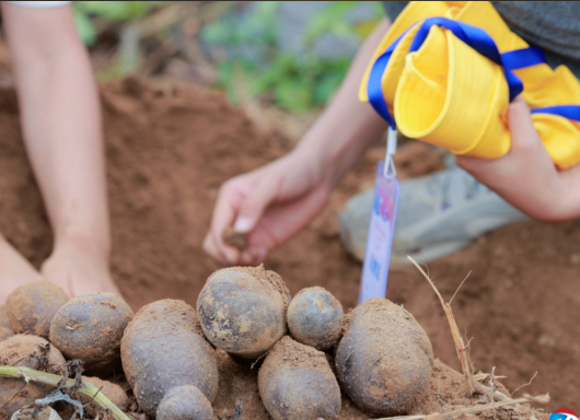 “下地干活式旅游”火了 年轻人旅游消费理念不再盲目从众