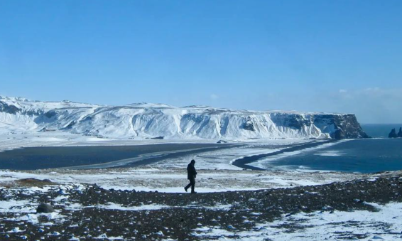 冰岛首次发现蚊子 冰岛首次确认有蚊子在户外活动 冰岛首次发现蚊子 冰岛首次确认有蚊子在户外活动