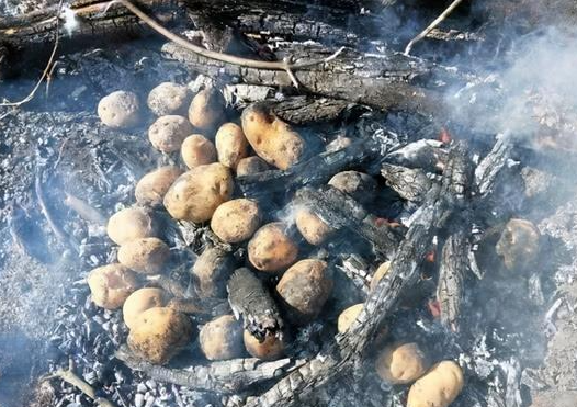 “下地干活式旅游”火了 年轻人旅游消费理念不再盲目从众