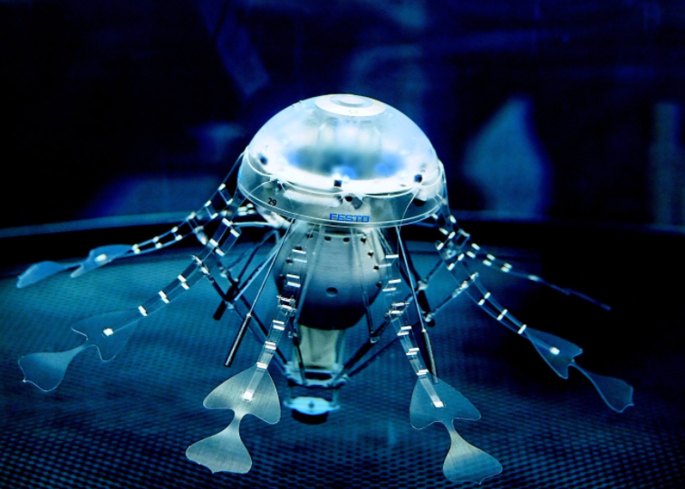 西工大研制透明仿生水母机器人(水母机器人可以潜入深海吗)