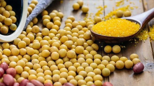 2025年美豆出口受阻(10月豆油继续偏弱震荡) 2025年美豆出口受阻(10月豆油继续偏弱震荡)